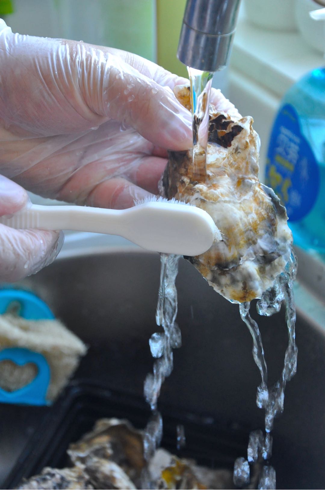 今日美食~白灼生蚝的做法-蒜香味蒸菜谱-易网<a href=http://www.bryss.cn/ target=_blank class=infotextkey>健康养生</a>网 今日美食~白灼生蚝的做法-蒜香味蒸菜谱
