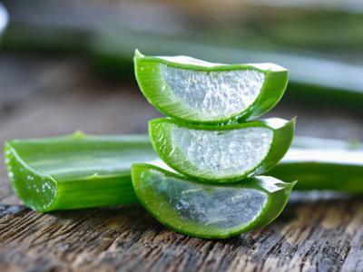 鲜芦荟能直接用来擦脸吗？如何用鲜芦荟护肤？