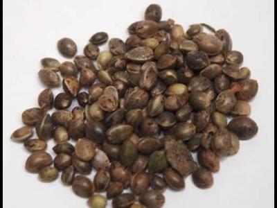 火麻仁怎么吃？小编分享三种搭配方法