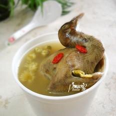 枸杞菊花炖乳鸽的做法-家常味炖菜谱