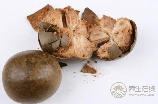 春分清热通便 泡一杯罗汉果足以
