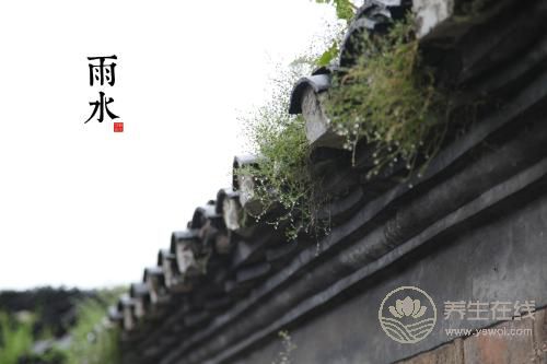 2019年雨水巧遇元宵节，二十四节气之雨水养生篇