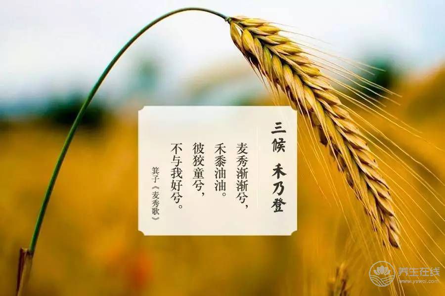 处暑的来历