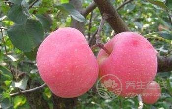 夏季要多吃七大红色果蔬