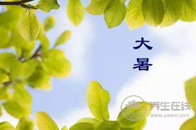 大暑时节，家庭消暑必知的中药凉茶配方