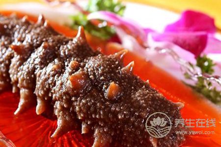 春季吃海参好吗