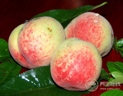8月份不可错过的水果，味美营养养生