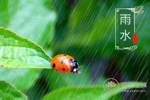 2019年雨水巧遇元宵节，二十四节气之雨水养生篇