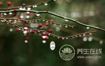 2019年雨水巧遇元宵节，二十四节气之雨水养生篇