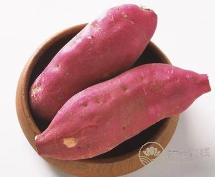 夏天喝什么粥有助于保胃养胃