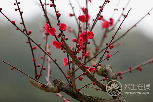 南方“倒春寒”来袭 如何应对不生病