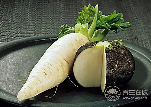 秋季吃白萝卜好，能治咽喉炎治头痛治冻疮