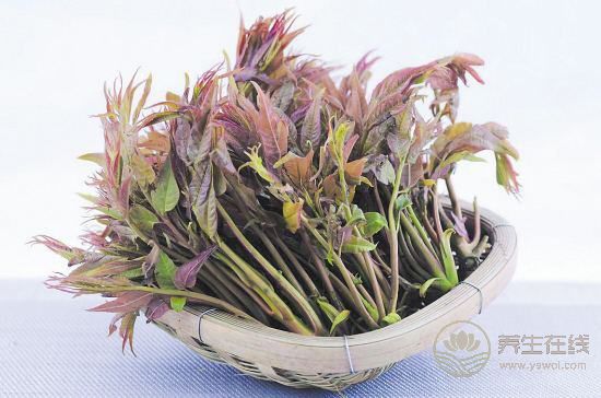 春季养生哪家强，蔬菜水果来帮忙