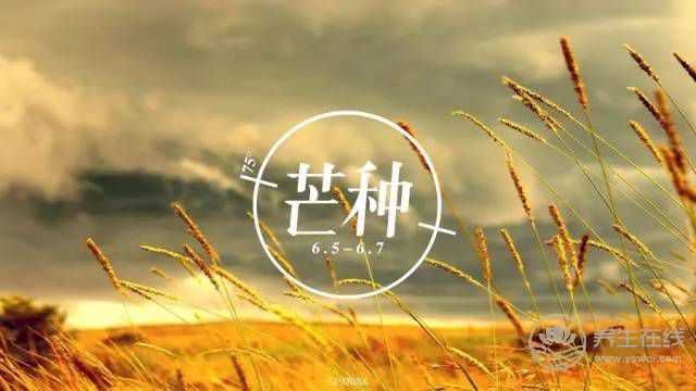 2019年什么时候芒种 芒种时间几点几分