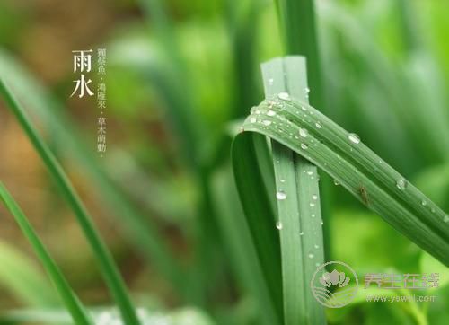 2019年雨水巧遇元宵节，二十四节气之雨水养生篇
