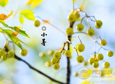 2019年什么时候小暑 小暑时间几点几分 2019年什么时候小暑 小暑时间几点几分