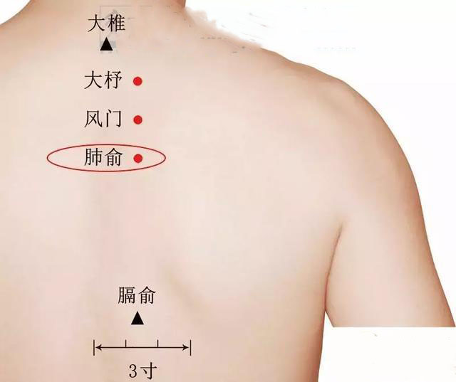 夏天是“养肺黄金期”，做到这4招，一年不得肺病！