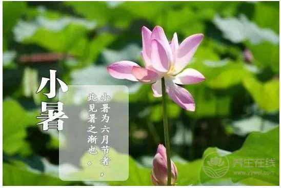 节气养生—小暑怎么养生