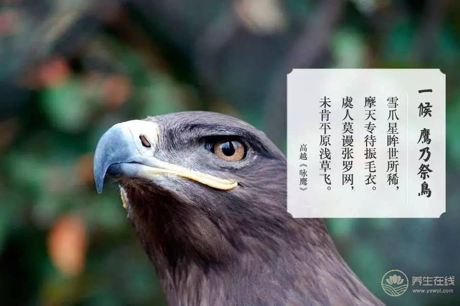 处暑的来历