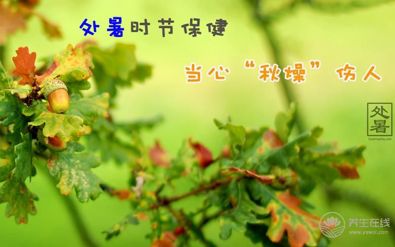 处暑吃什么食物  应该如何养生