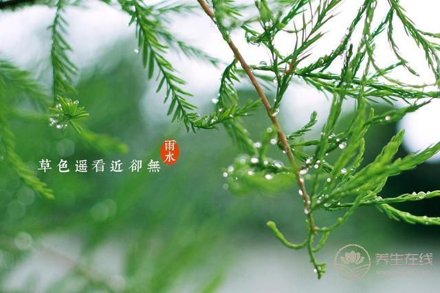 雨水——好雨知时节, 当春乃生发