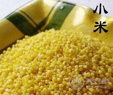 夏天喝什么粥有助于保胃养胃