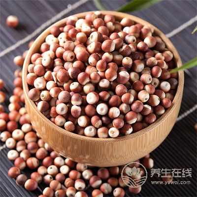秋季养人要吃好“水下三宝”