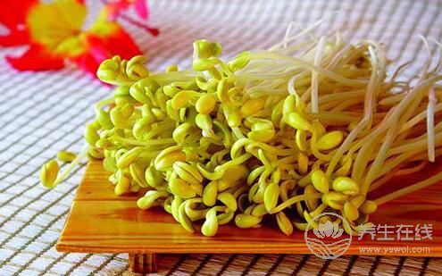 夏季养生：豆芽菜清热利湿解毒