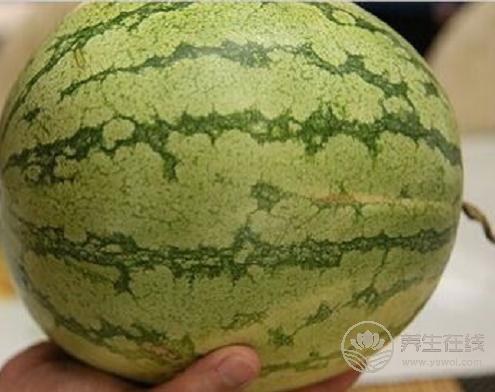 夏季怎么挑选西瓜，吃西瓜的方法你用对了吗