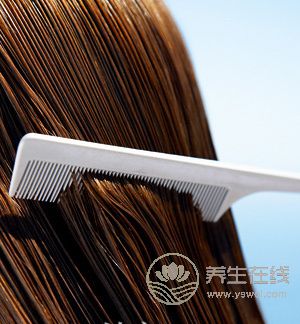 春天养生从“头”开始,你的头好好吗？