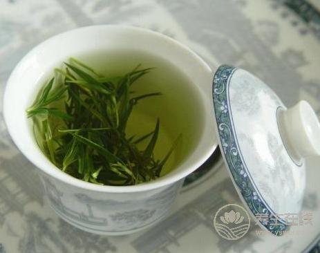 夏天养生这些茶再合适不过