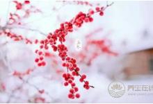 立冬时节有哪些养生小常识？