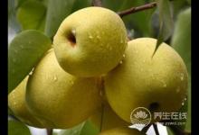 小雪节气如何预防上火呢