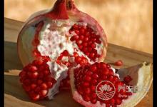 秋季养生重在“润肺”！7大“养肺”食物为家人收了