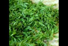 清明茶什么时候采？喝清明茶有哪些好处