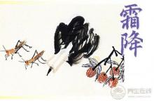 霜降养生是什么？