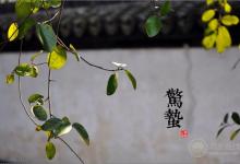 2018年惊蛰时间，惊蛰天气如何，惊蛰有哪些习俗，惊蛰如何养生