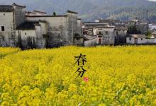 2018春分时间_春分是什么时候_吃什么养生_春分习俗