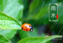 2019年雨水巧遇元宵节，二十四节气之雨水养生篇
