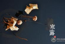 2018寒露时间_寒露是什么时候_吃什么养生_寒露习俗