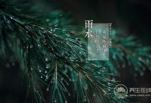 雨水——好雨知时节, 当春乃生发