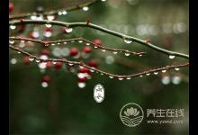 雨水养生：嗑多瓜子、春燥，上火怎么办
