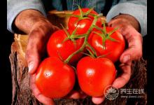 男人夏季想要补阳气？5种食物一定得吃