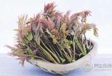 春季养生哪家强，蔬菜水果来帮忙