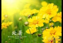 处暑养生吃什么 四款美食养胃又润燥