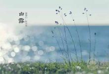 霜降养生重点在于膝关节！