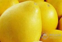 夏天怎样吃姜对身体好?