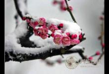 大雪节气养生该注意什么？