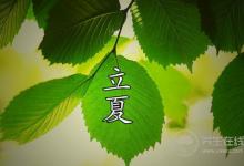 立夏养生：晚睡+早起+午休更健康