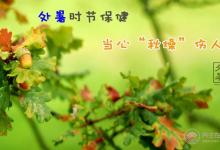 处暑吃什么食物  应该如何养生